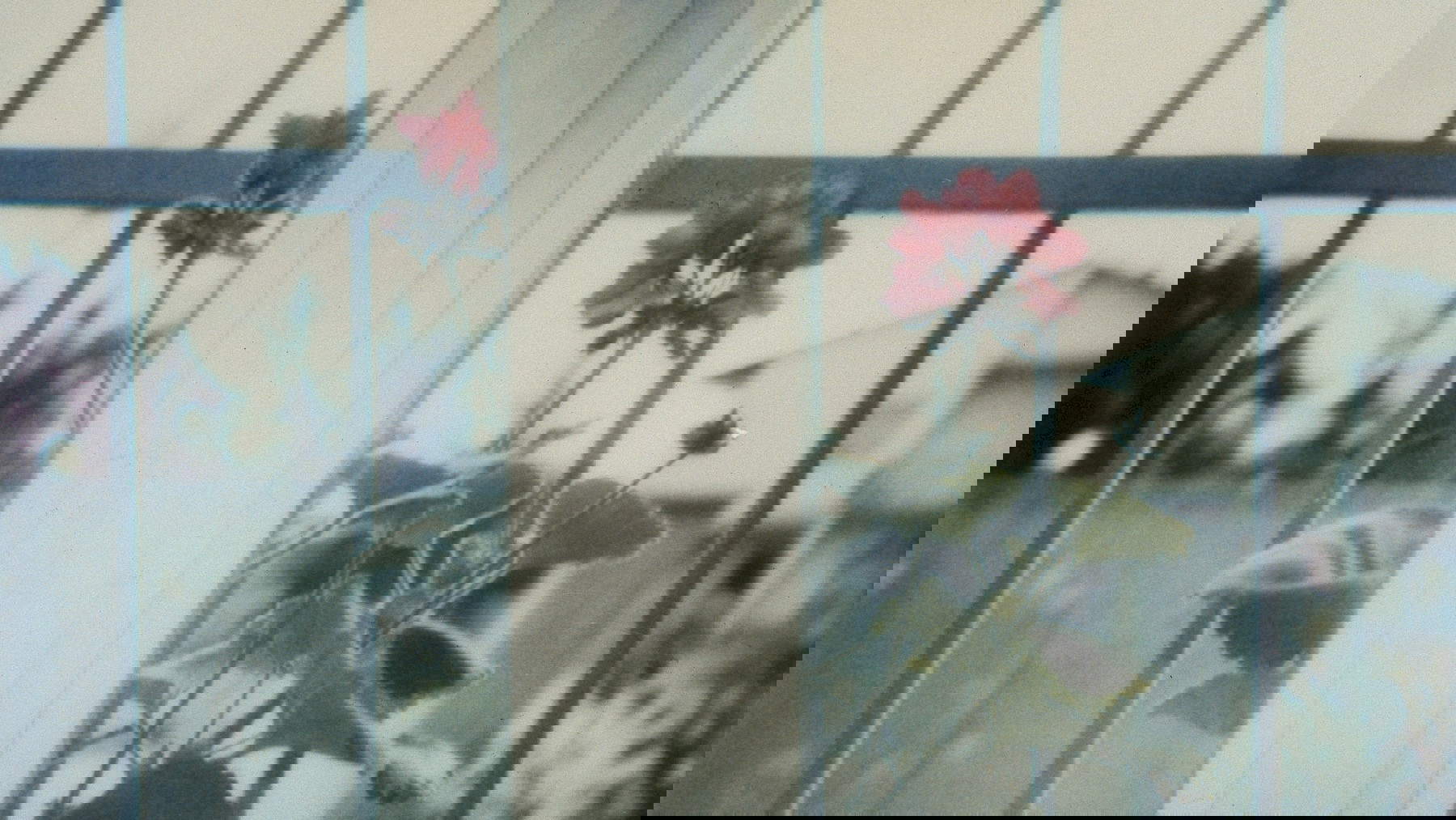 At the Pecci Center in Prato, the first exhibition in Italy entirely devoted to Ghirri's polaroid production