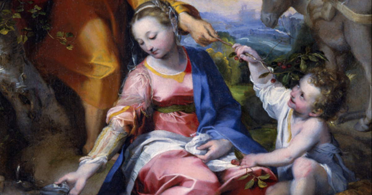 La Virgen de las Cerezas de Barocci, de los Museos Vaticanos, llega por Navidad a Turín, a las Gallerie d'Italia 