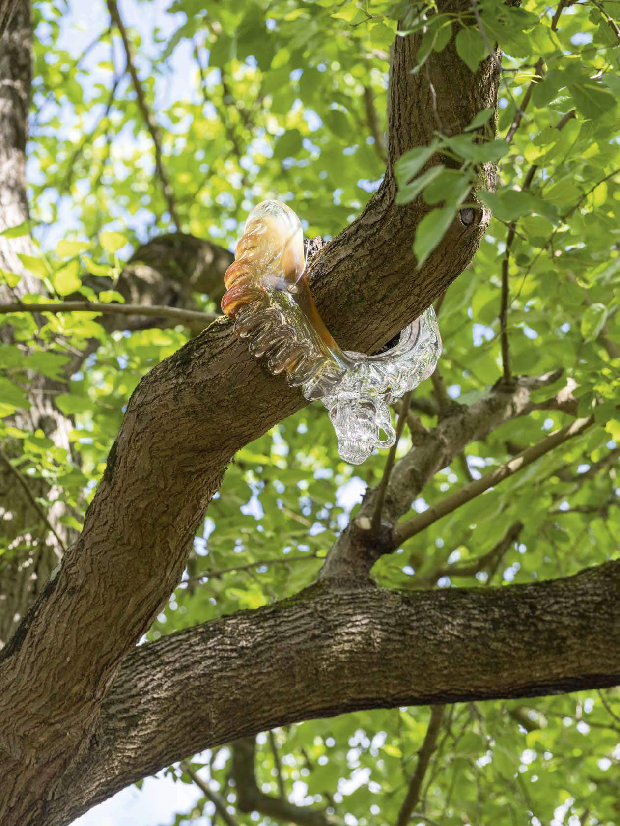 Maison Pelletier Ferruel, Trouver les &eacute;gards (2024) &copy; Martin Argyroglo / LVAN