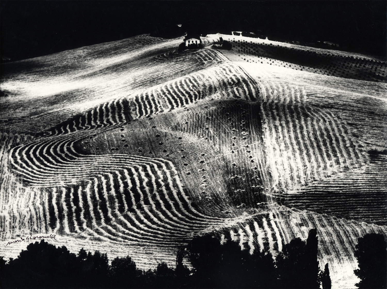 Senigallia dedica una exposición a Mario Giacomelli, inaugurando las celebraciones del centenario de su nacimiento 