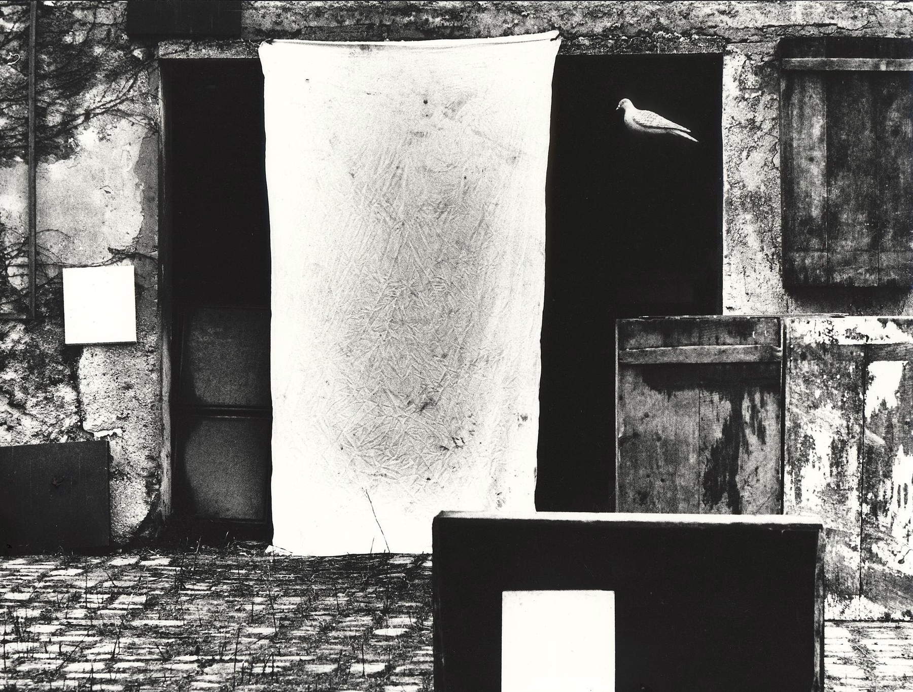 Mario Giacomelli, Questo ricordo lo vorrei raccontare alla Galleria San Ludovico di Parma