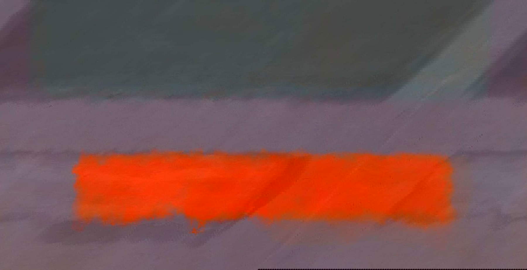Rotterdam, a child damages a Rothko work valued at 50 million euros at the museum