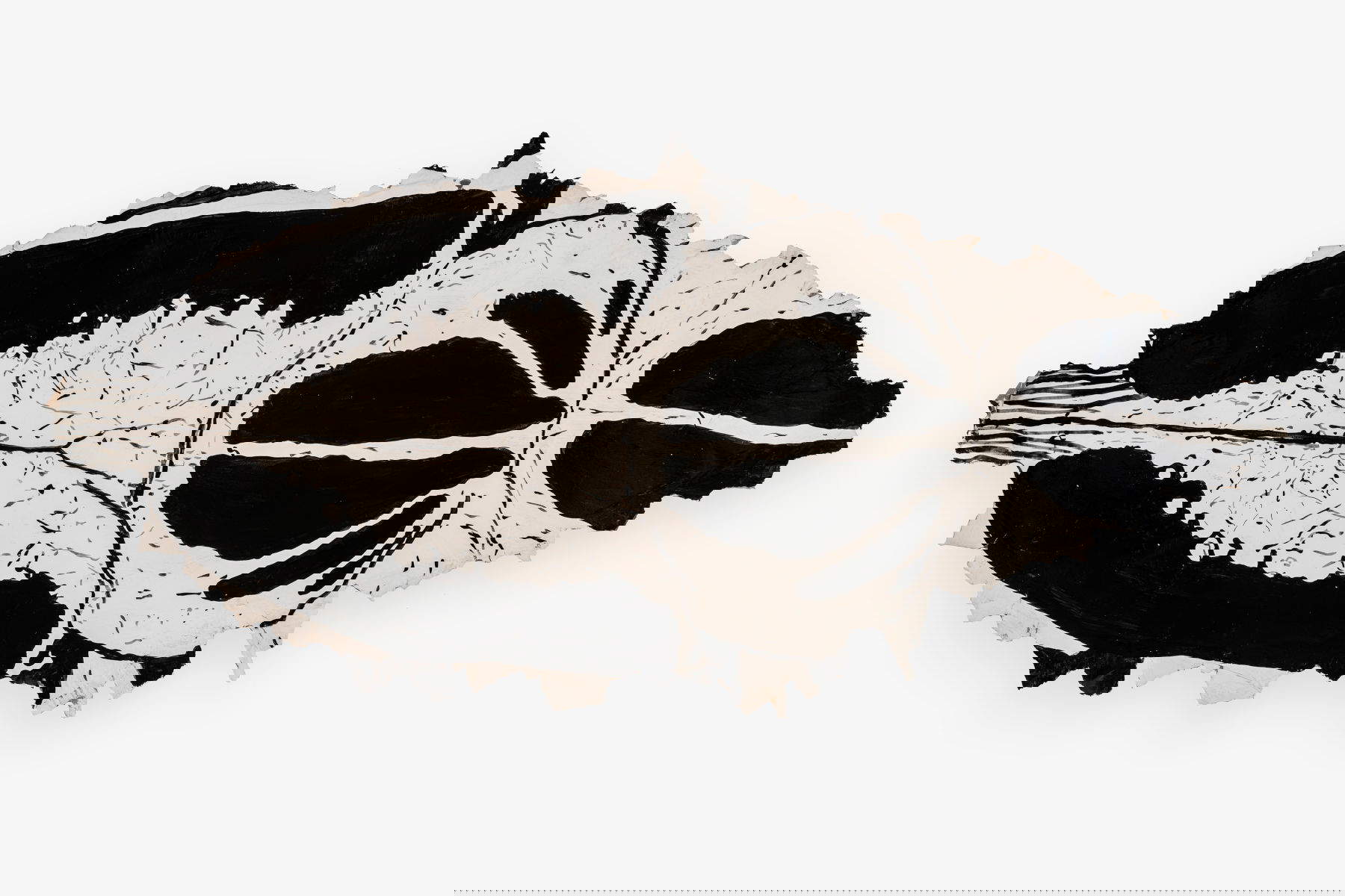 Marzia Migliora, Lotta per l&rsquo;esistenza (2025; Dettaglio, installazione ambientale, carta pesta dipinta a mano, carta intelaiata; dimensioni variabili). Foto: Mariano Dallago. Su concessione dell&rsquo;artista; Arte Sella; Galleria Lia Rumma, Milano Napoli