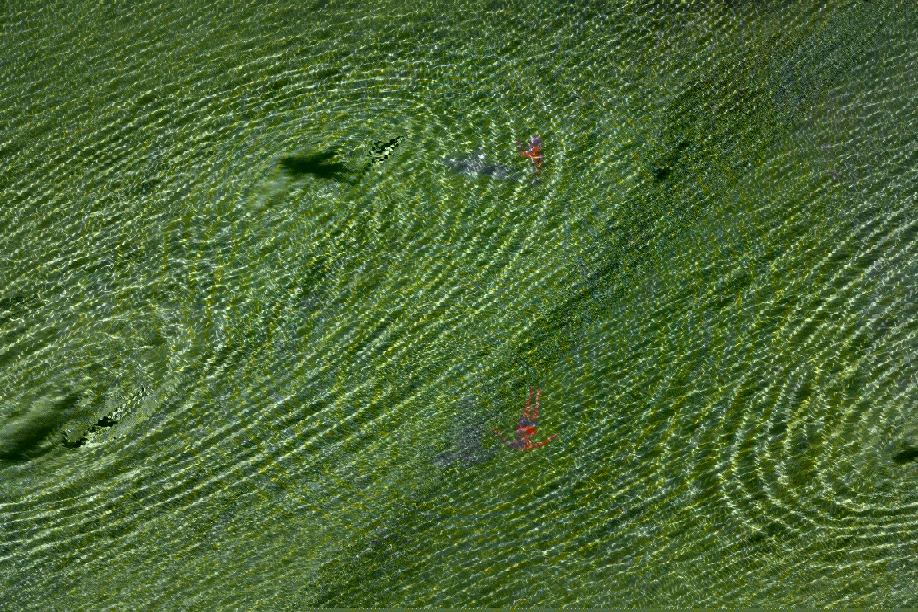 Massimo Sestini, Ohne Titel (2024-2025) &copy; Massimo Sestini