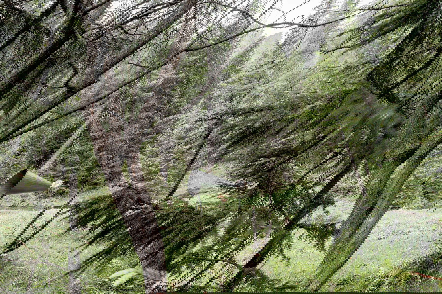 Matteo Simondi, iC&Ugrave;