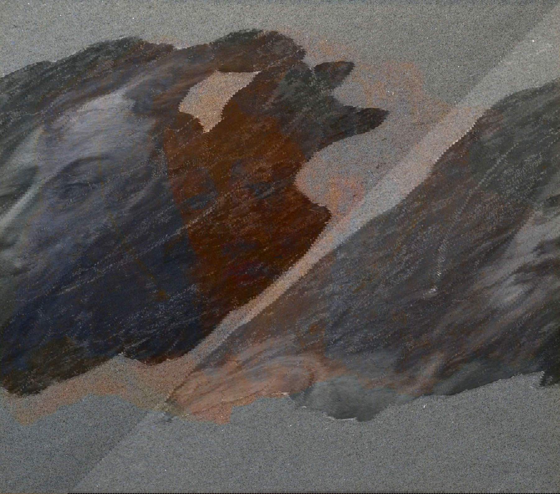 Michelangelo Anselmi, St. John the Baptist