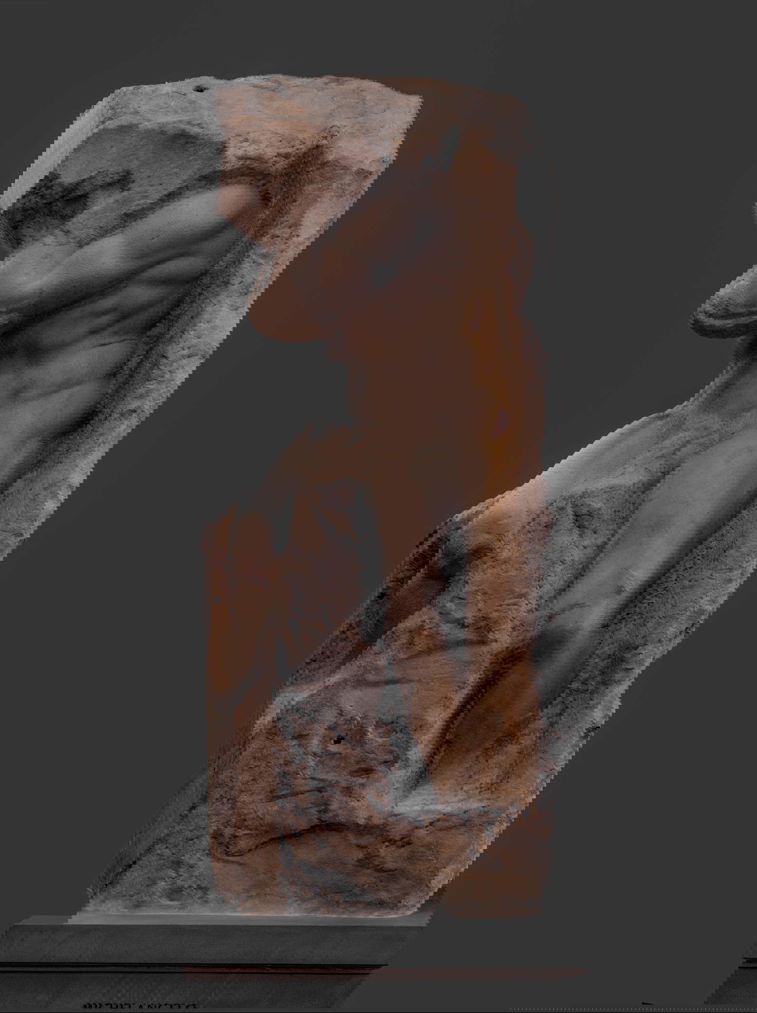 Michelangelo, Atlante (Firenze, Galleria dell'Accademia). Foto di A. Quattrone