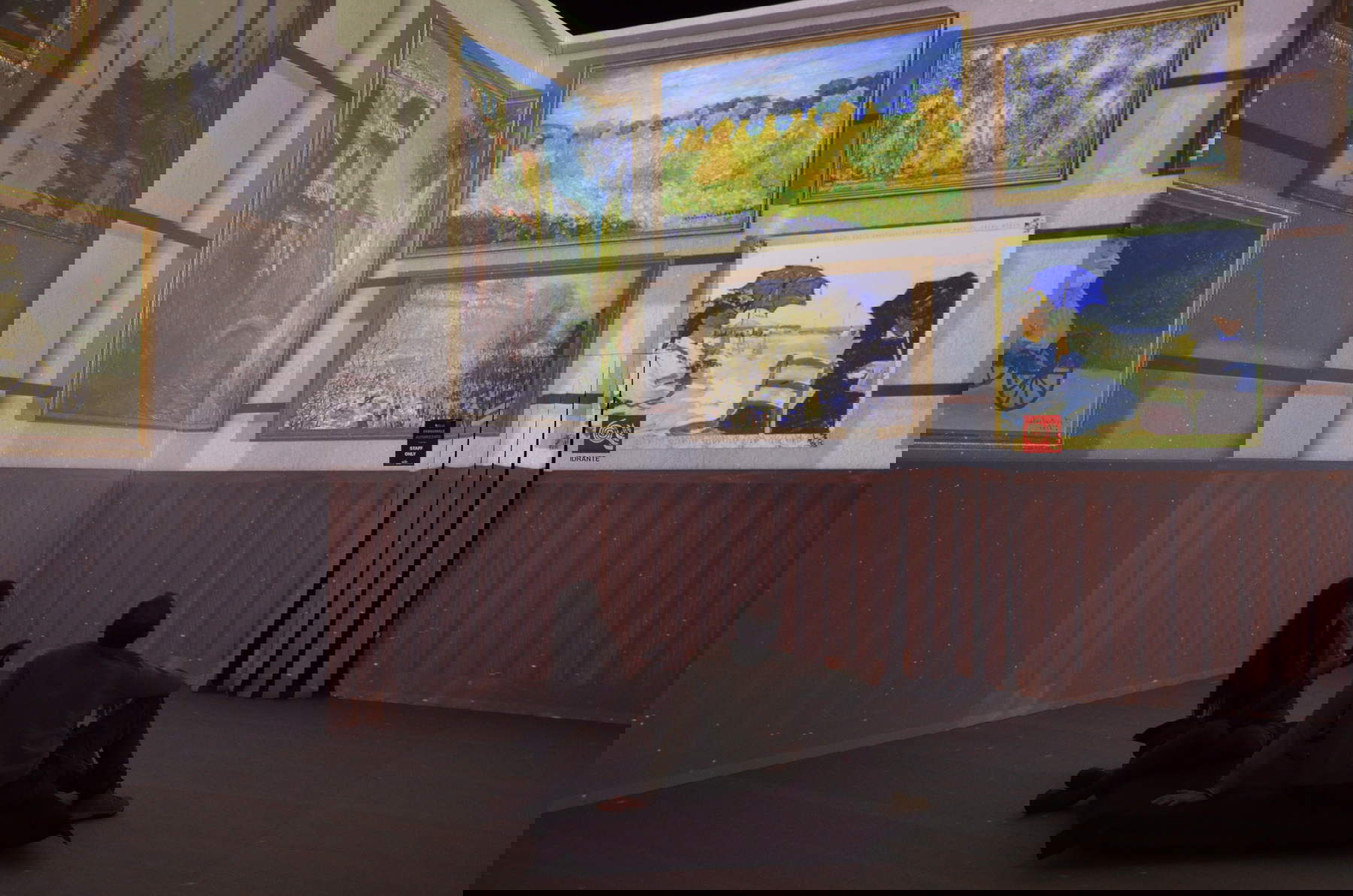 Claude Monet : l'expérience immersive