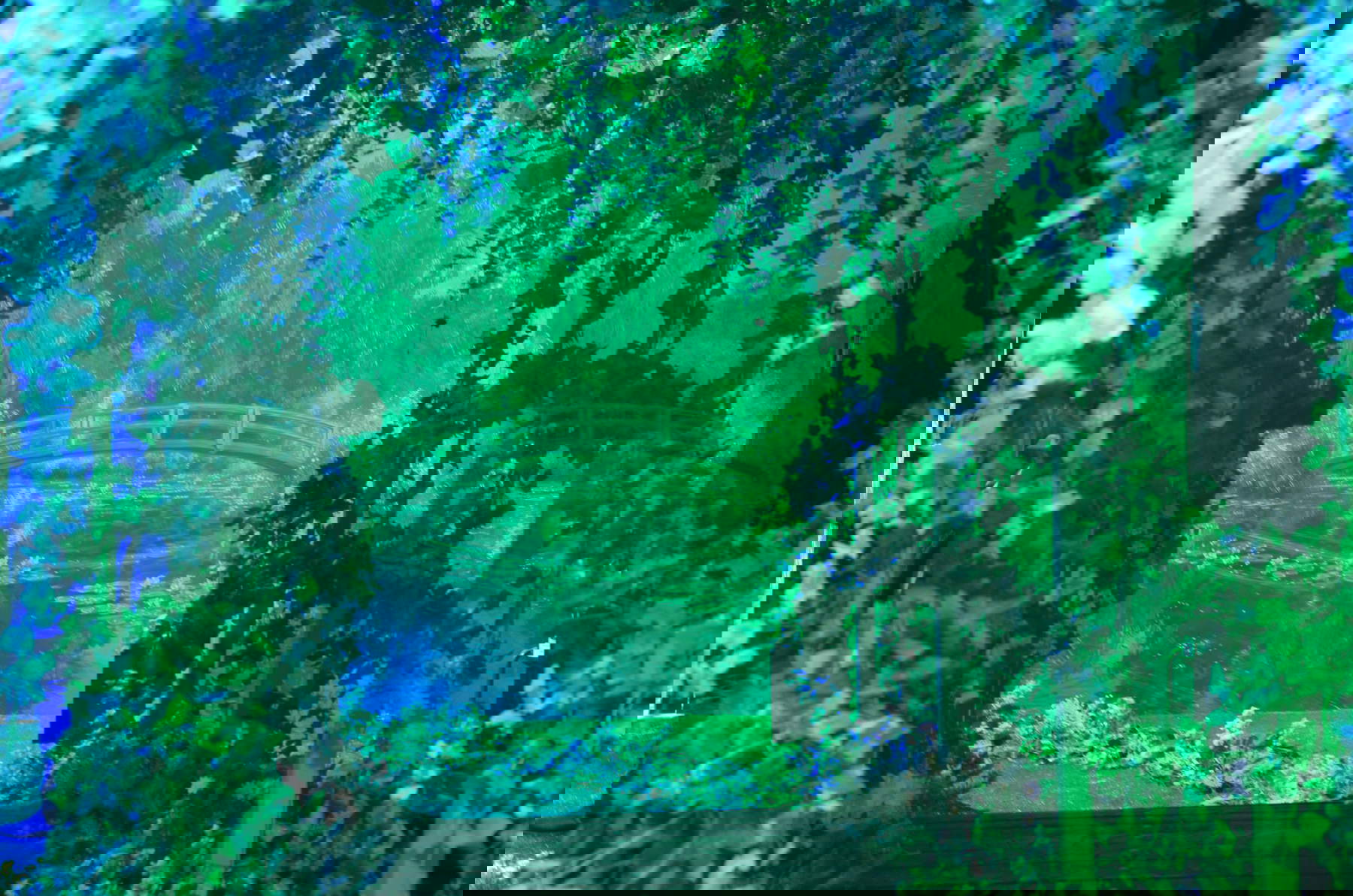 Claude Monet : l'expérience immersive