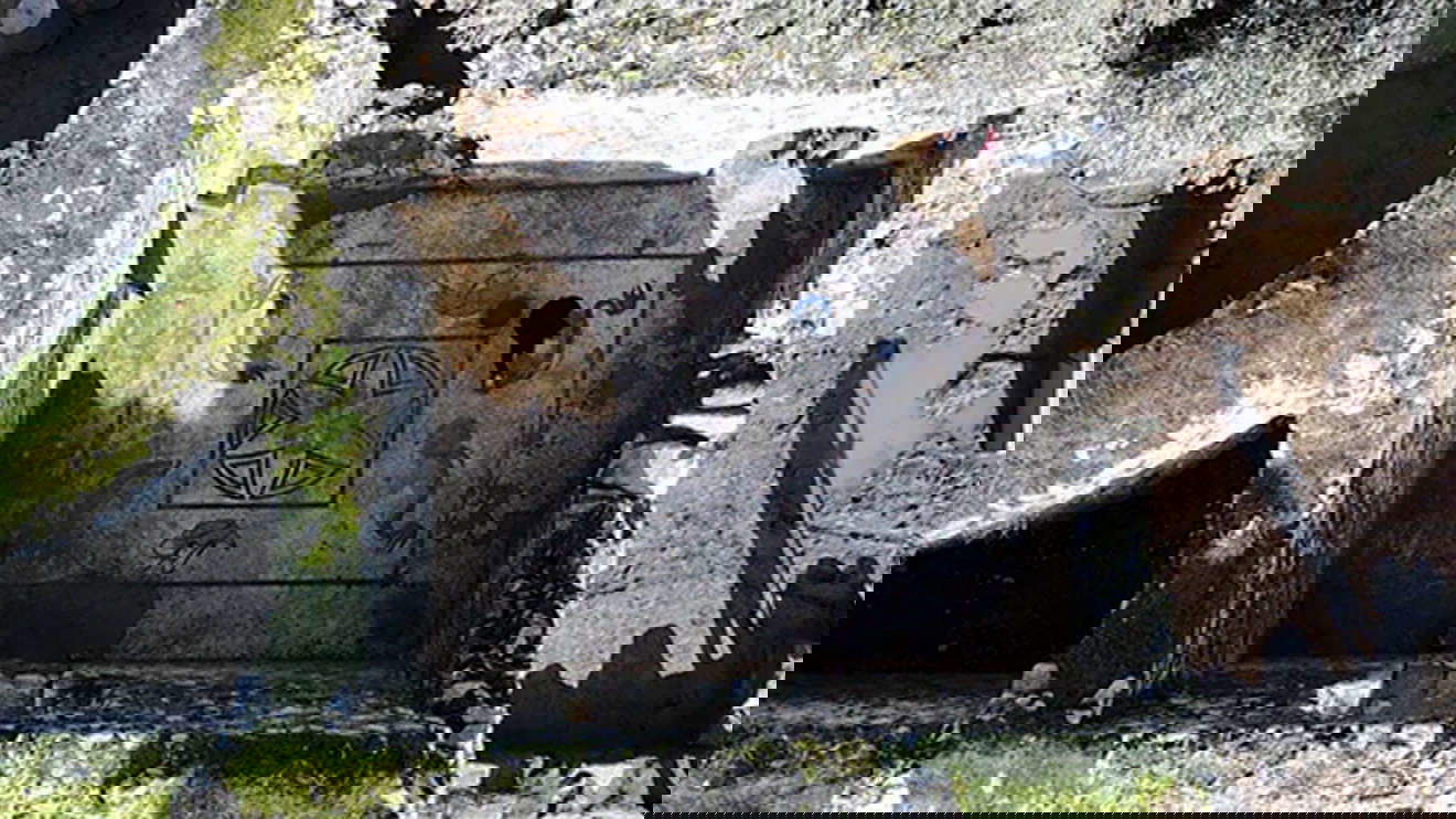 The mosaics discovered in Heraclea at the Latmo The mosaics discovered in Heraclea at the Latmo