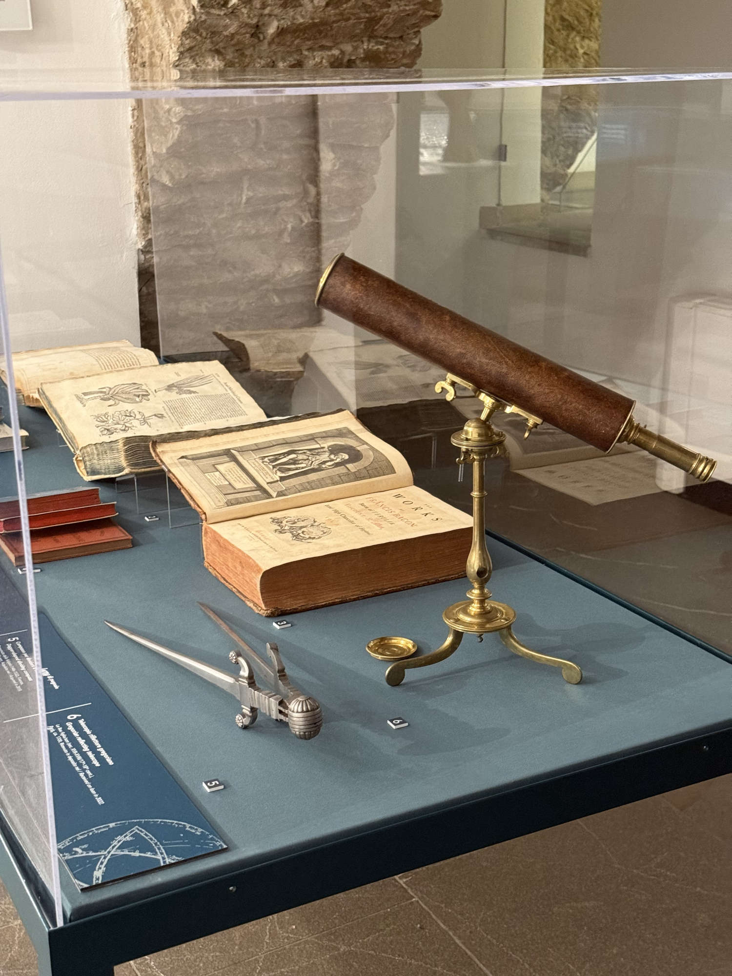 Aménagement de l'exposition