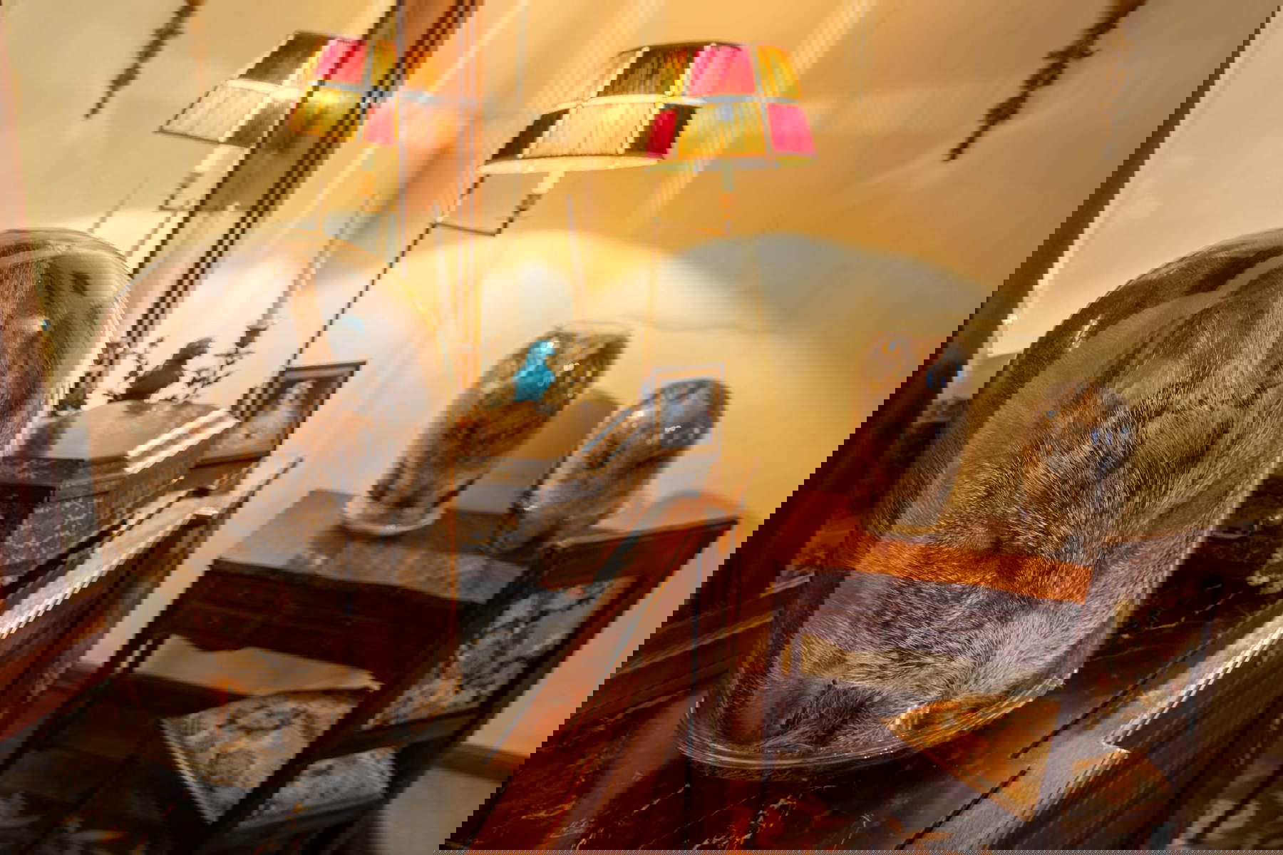 Montage de l'exposition. Photo : Marco Parolin