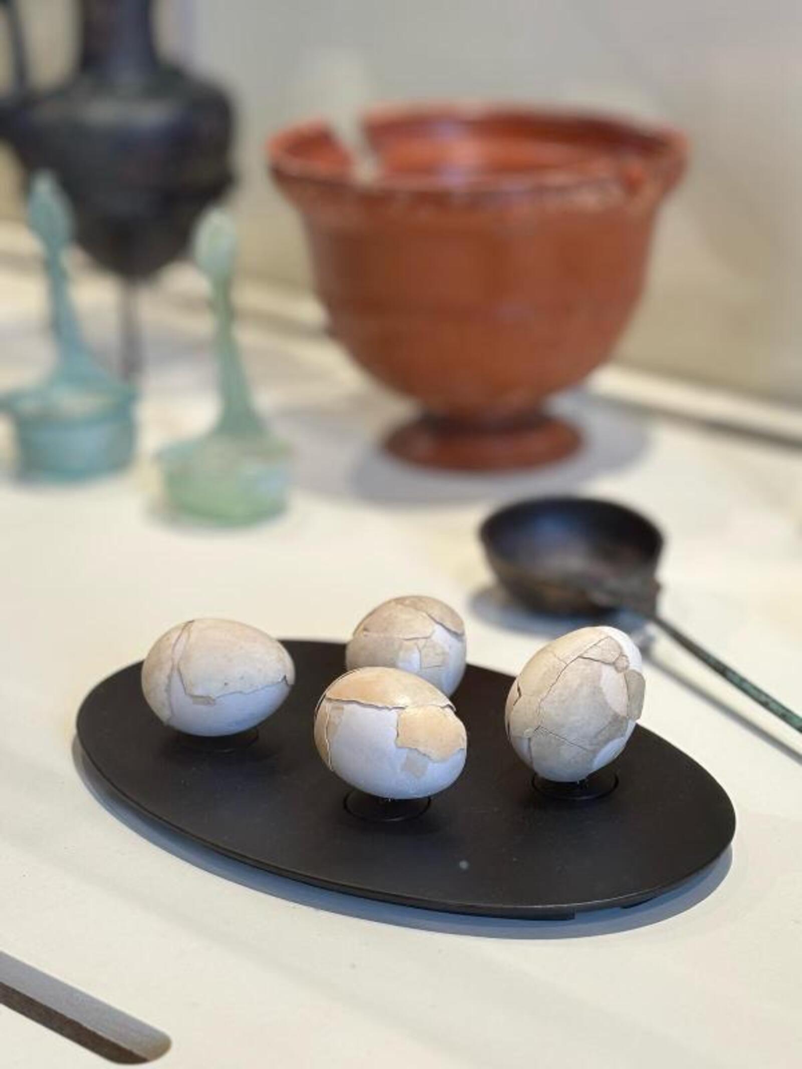 Setting up the exhibition From Egg to Apples. The civilization of food and the pleasures of the table.