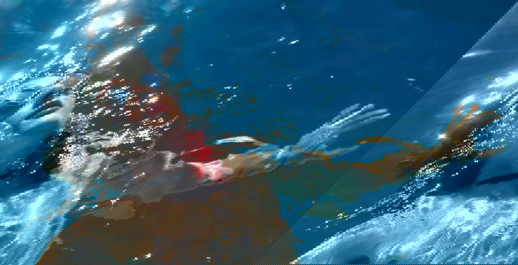 Il manifesto della mostra