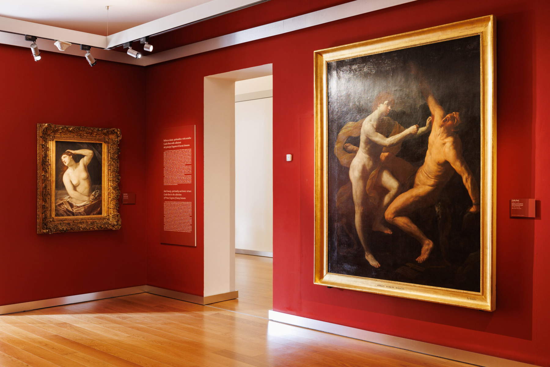 Layout der Ausstellung. Foto: Giuliano Berti / Musei Reali Torino