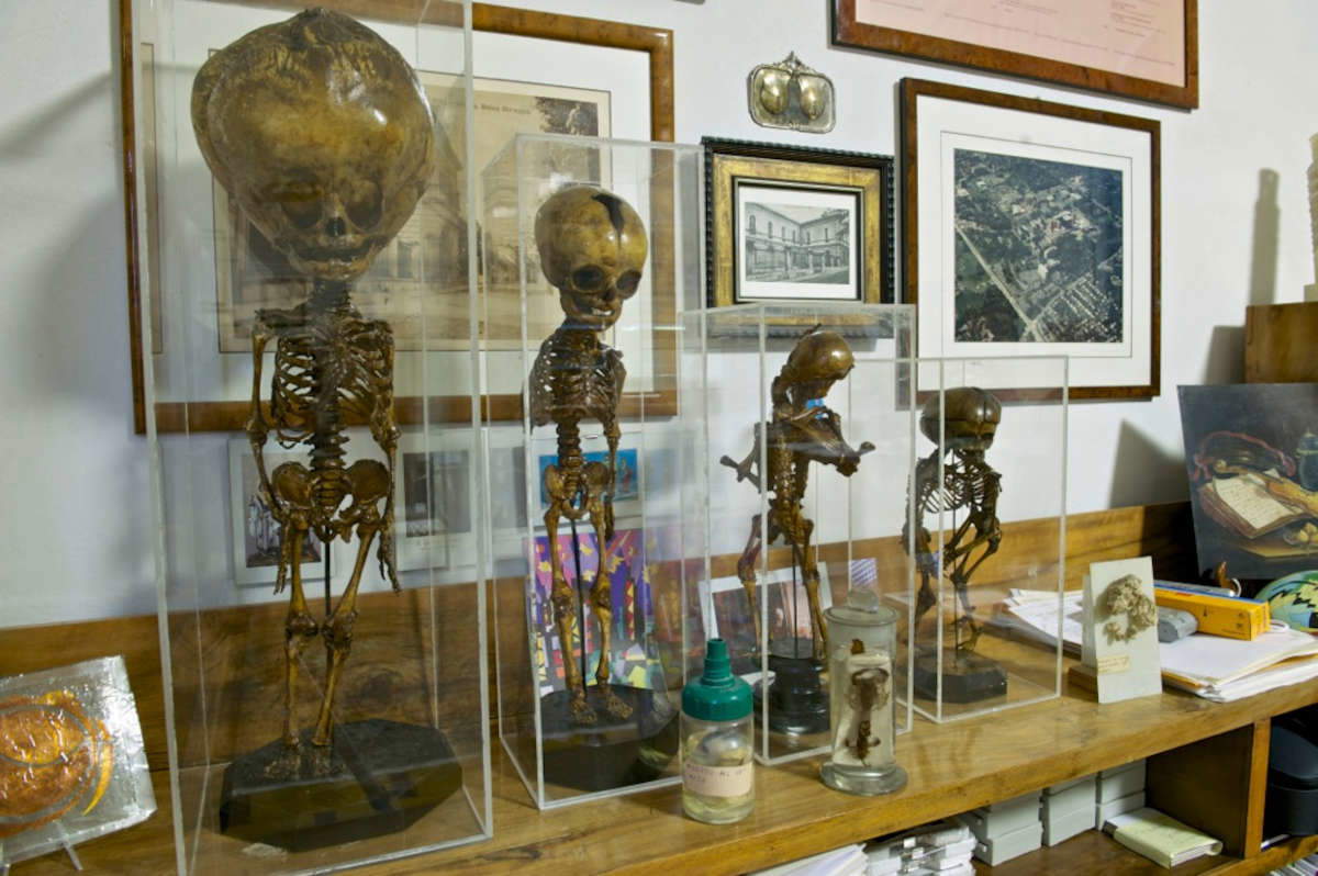 Historias de enfermedad y curación en el Museo di Anatomia Patologica e Paleopatologica di Pisa