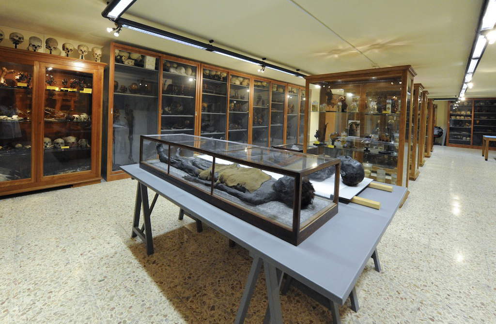 Le musée d'anatomie humaine de Pise Le musée d'anatomie humaine de Pise