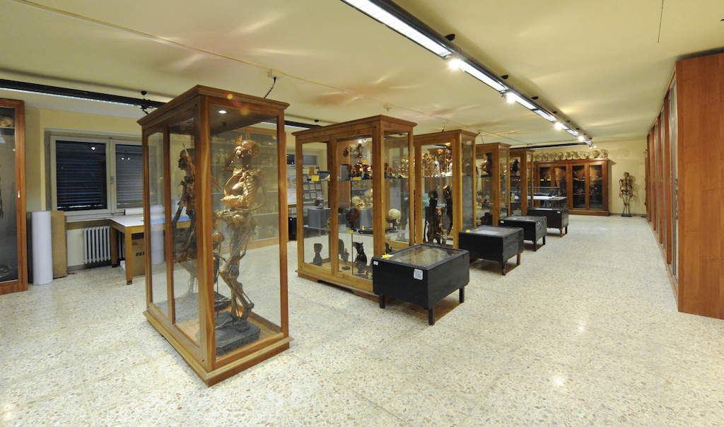 Le musée d'anatomie humaine de Pise Le musée d'anatomie humaine de Pise