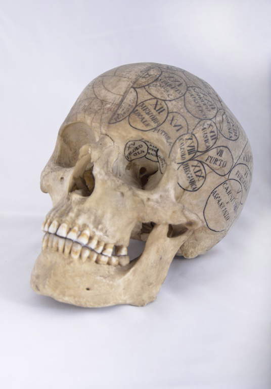 Le musée d'anatomie humaine de Pise Le musée d'anatomie humaine de Pise