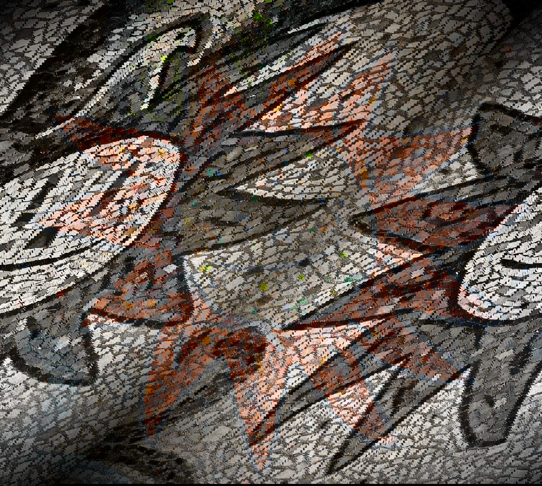 Le sol, Verme Palagio, détail de la mosaïque. Photo : Nicola Montalbini