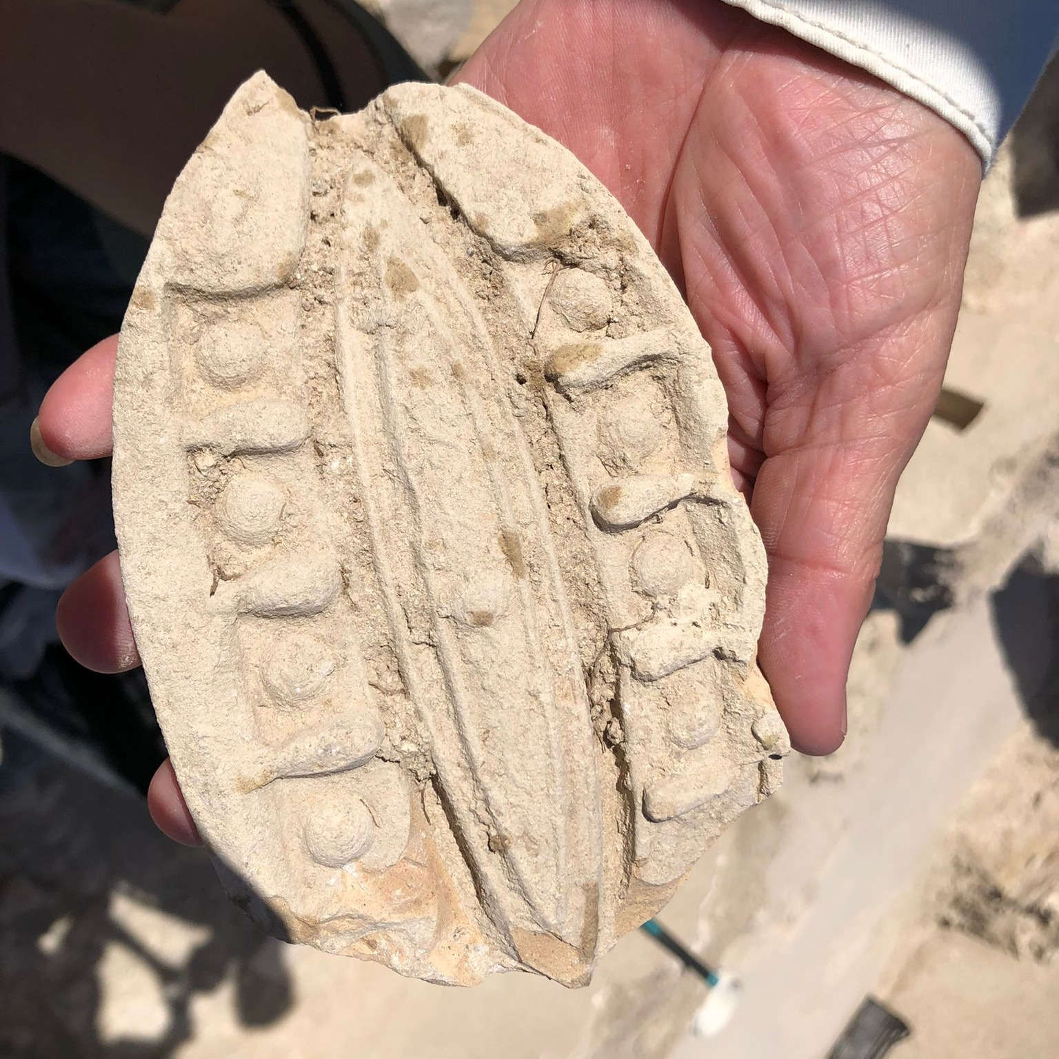 Les découvertes faites à Finziade. Photo : Parc archéologique et paysager de la Vallée des Temples