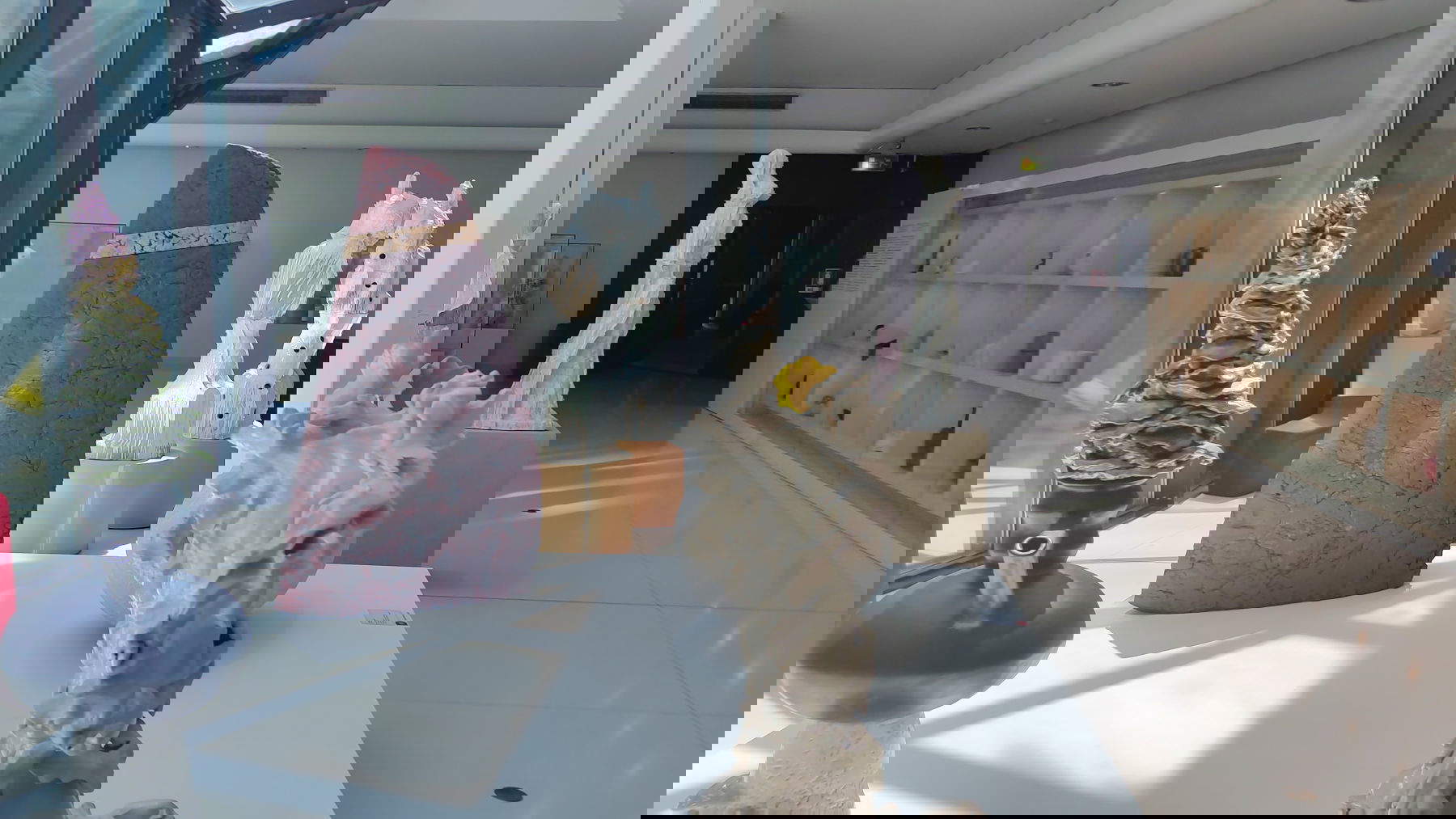 Al MIC Faenza una nuova sala per il XXI secolo con artisti internazionali