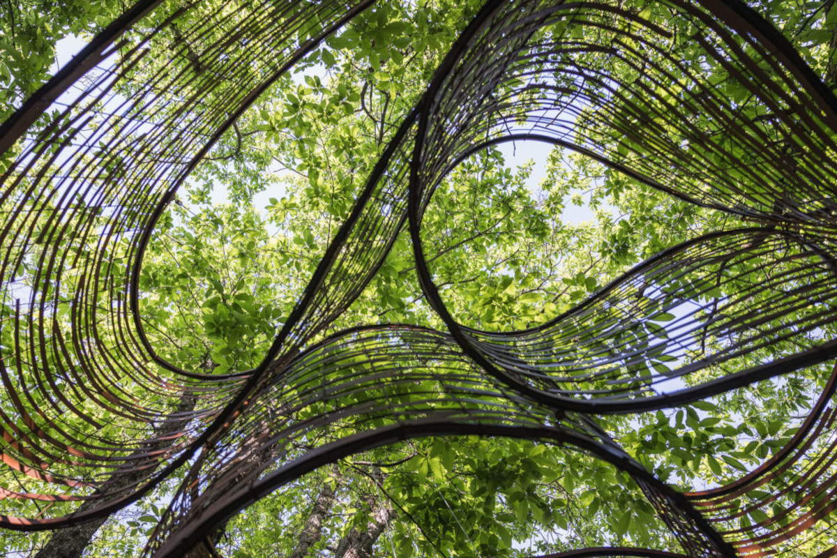 In the heart of the Pistoia Apennines, an artistic journey through nature to reflect on how we will inhabit the world