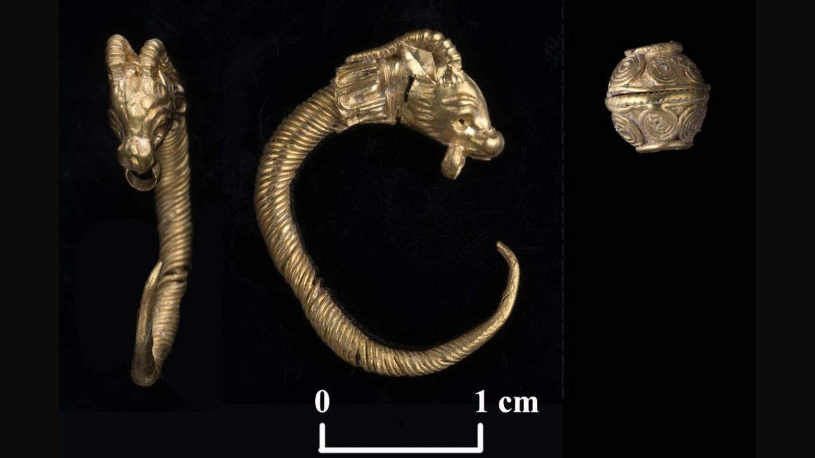 L'orecchino d'oro e la perla d'oro rinvenuti nella Citt&agrave; di Davide, risalenti allo stesso periodo. Foto: Clara Amit, Israel Antiquities Authority.