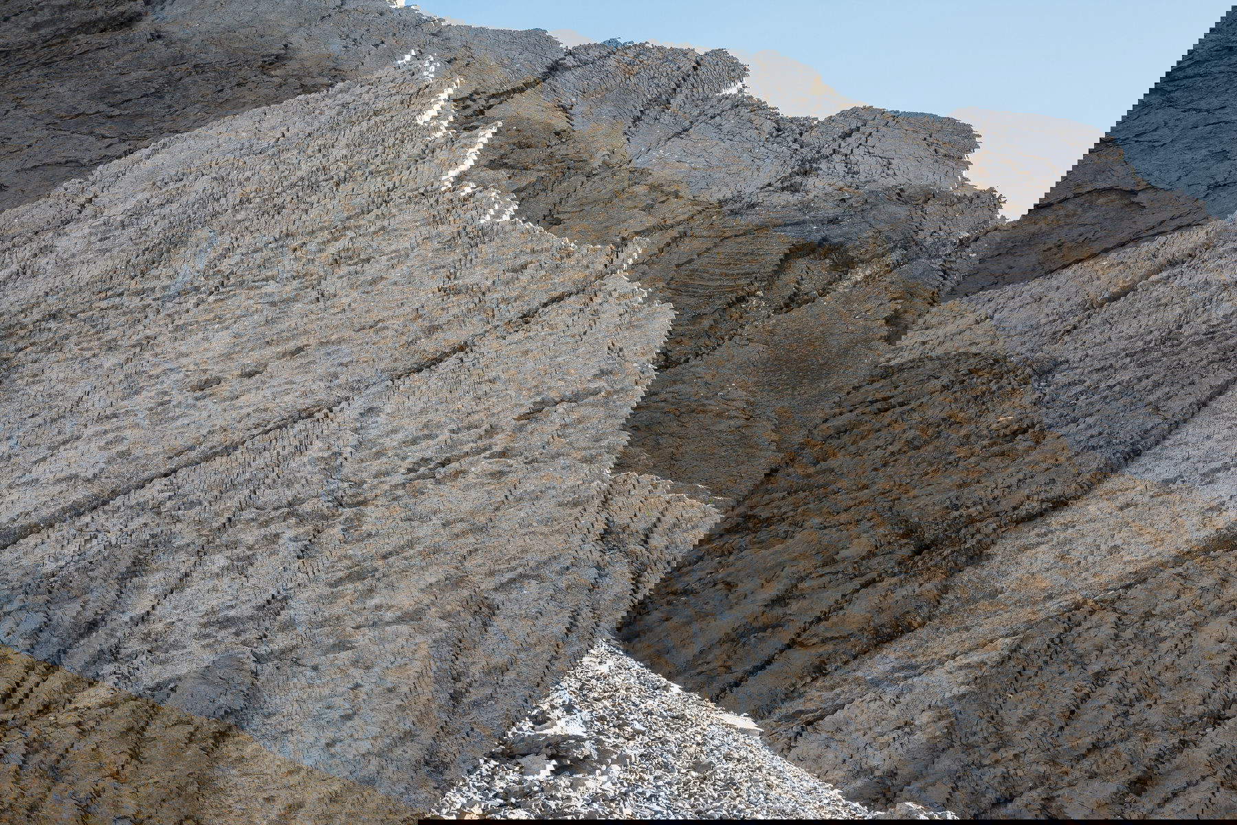 La première photo envoyée à la Surintendance compétente par Elio Della Ferrera, découvreur du nouveau site paléontologique. Prise le 14 septembre, elle encadre la 