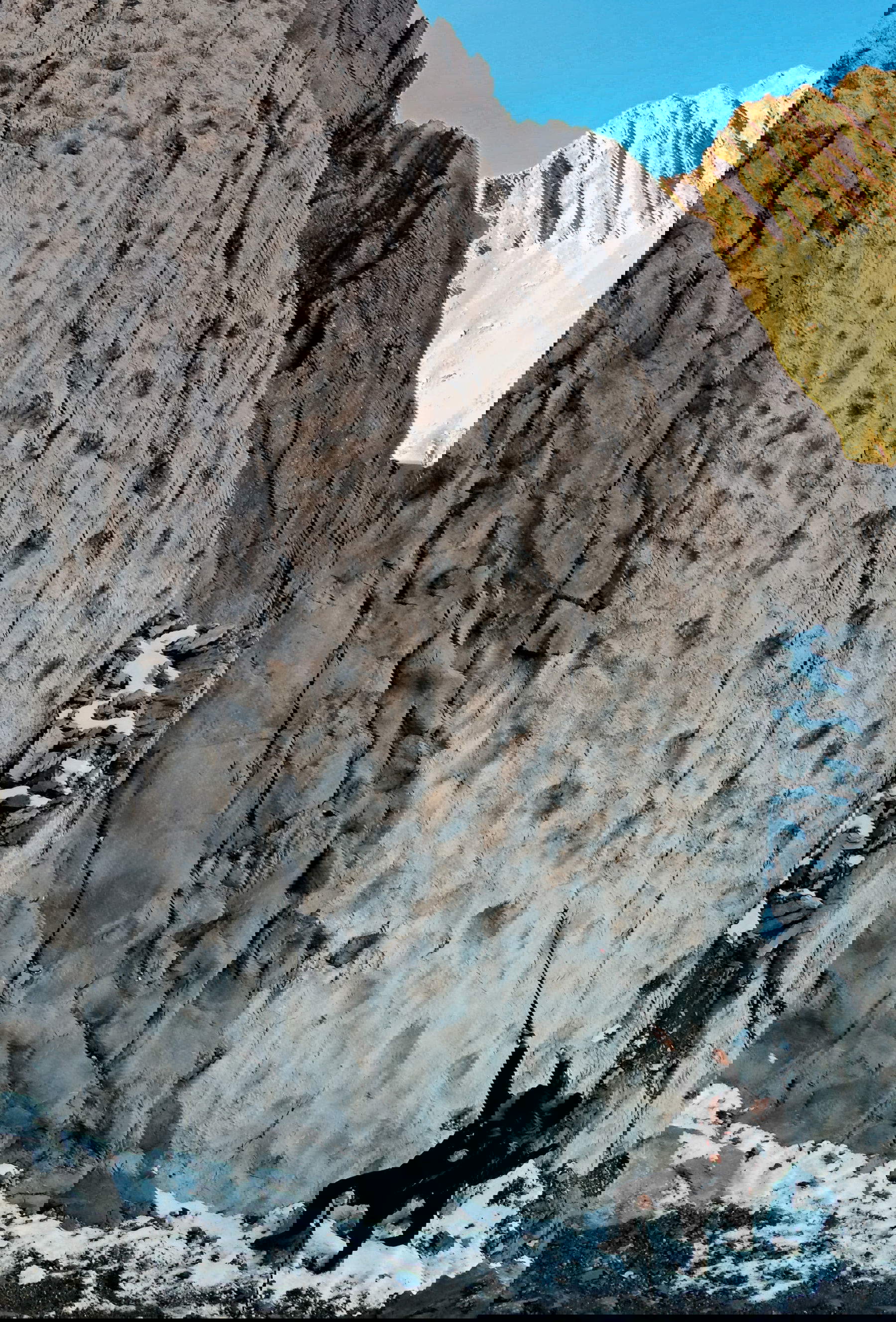 Les empreintes les mieux conservées montrent clairement les longs talons, les orteils et les marques de griffes, bien qu'elles aient été exposées à la neige et à la glace pendant des milliers d'années, même pendant les dernières périodes glaciaires. Photo d'Elio Della Ferrera, Arch. PaleoStelvio (PNS, MSNM, SABAP CO-LC).