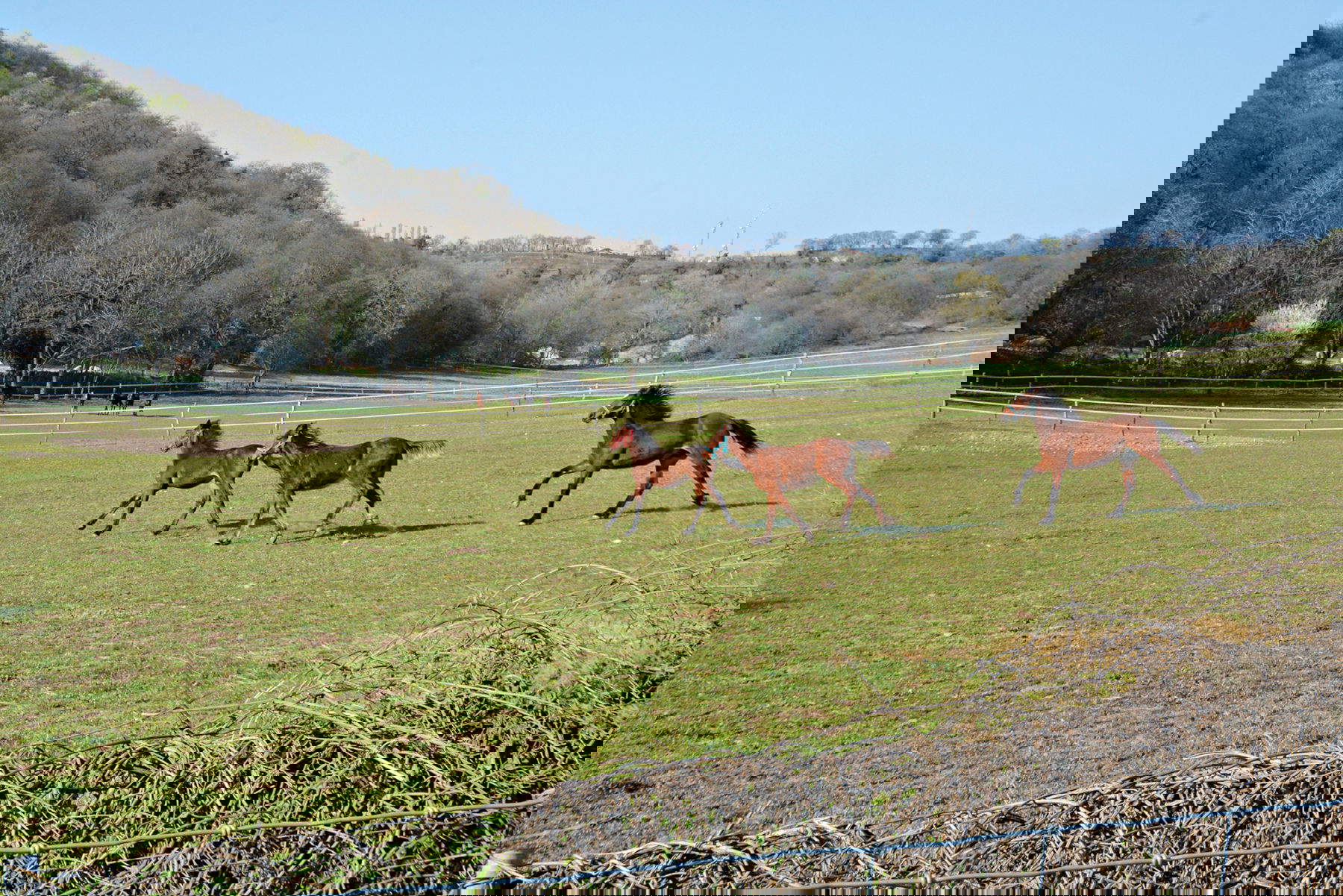 Il paesaggio di Cavriana