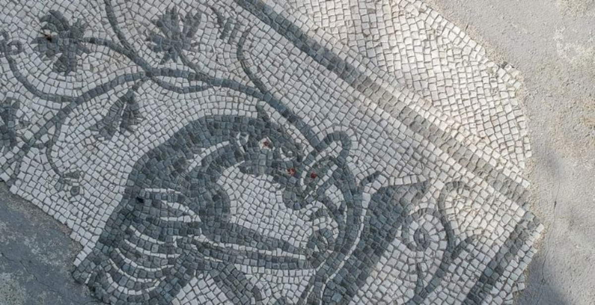 Altino (Venice), the city's Roman center resurfaces: new excavations begin in the forum Altino (Venice), the city's Roman center resurfaces: new excavations begin in the forum