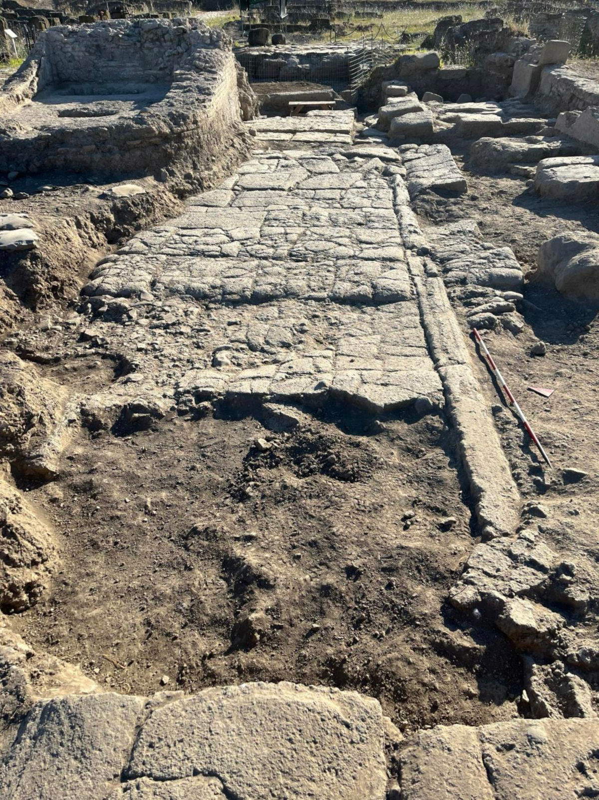 Archäologischer Park Gabii, Stadtgebiet, Pflasterung &copy; Projekt Gabii