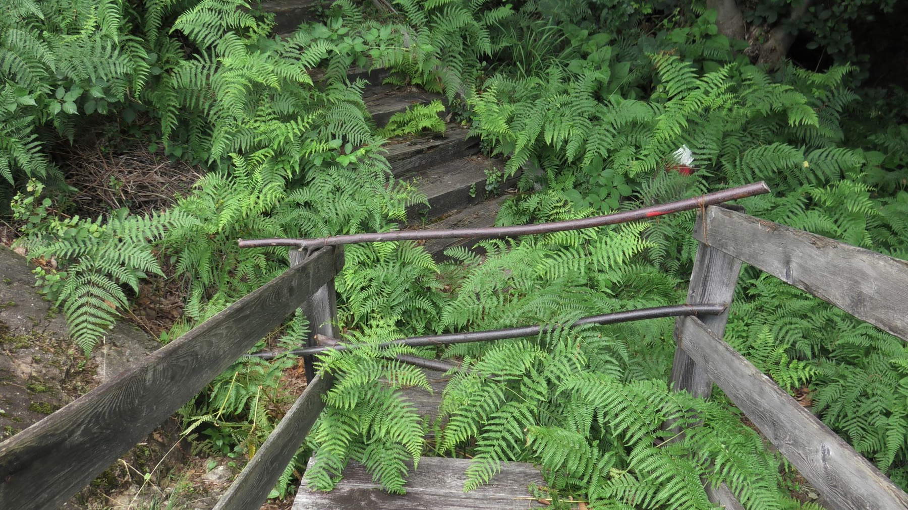 Il Parco archeologico di Sellero a Brescia di nuovo abbandonato dopo un anno di rinascita