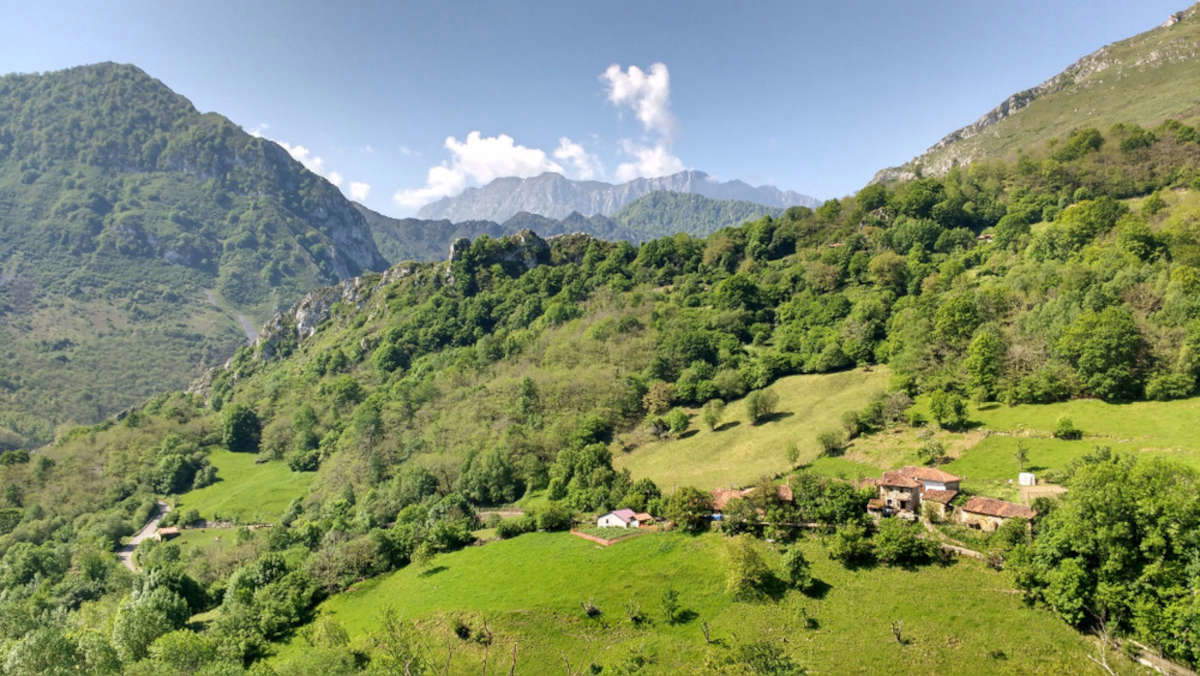 Parc naturel de la Ponga