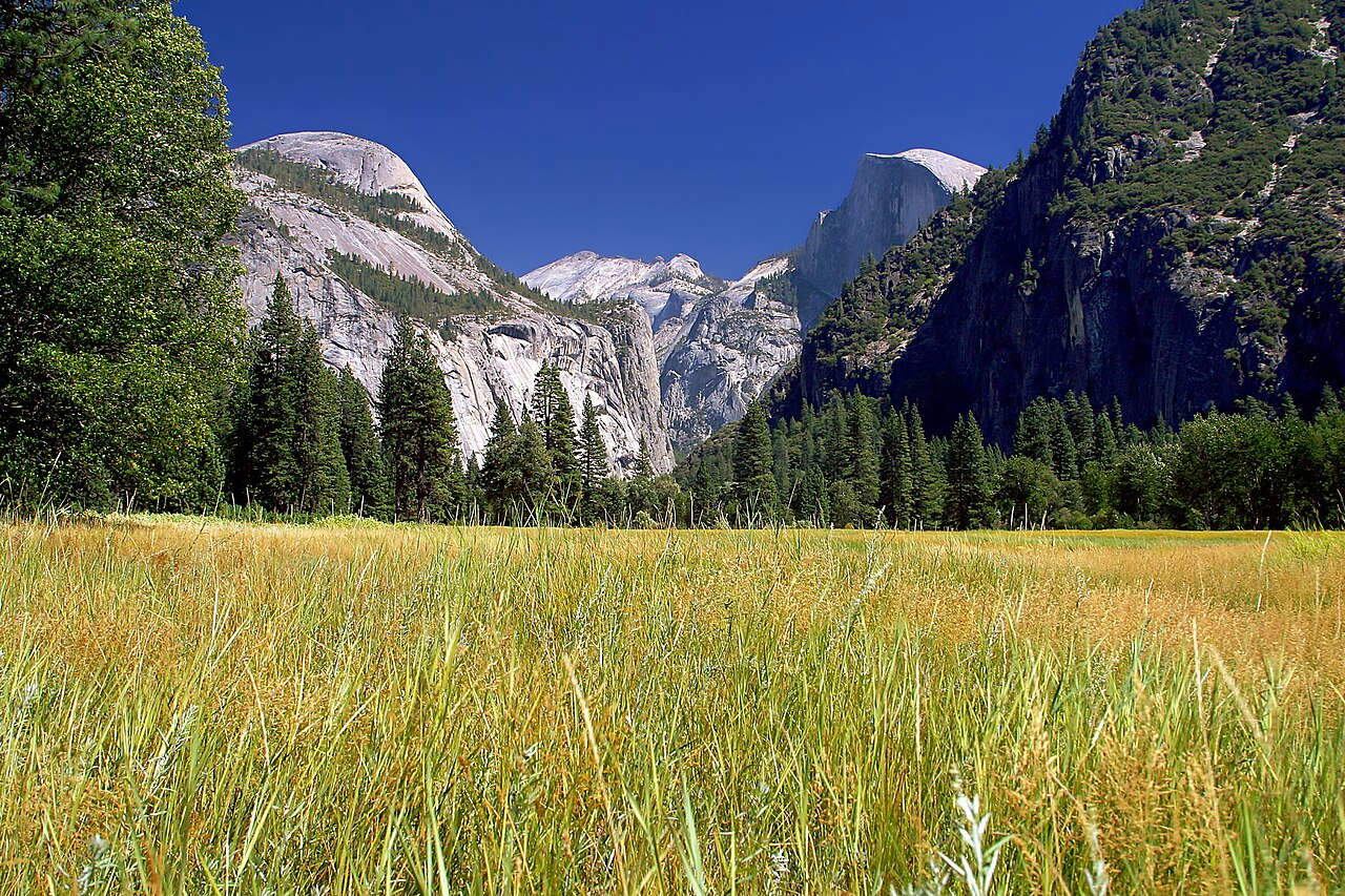 Parco Nazionale di Yosemite. Foto: Jon Sullivan