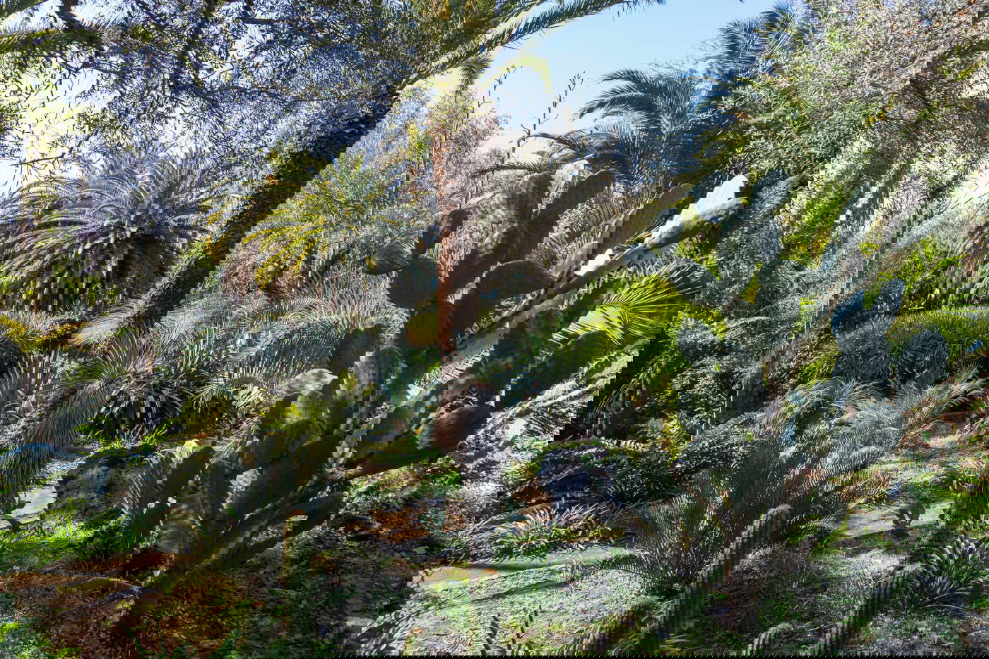 Patern&ograve; del Toscano. Foto di Salvo Olimpo