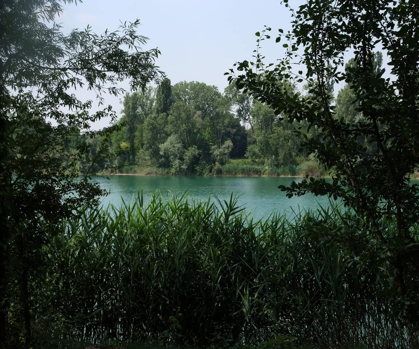 Pensare come una montagna - Biennale delle Orobie
