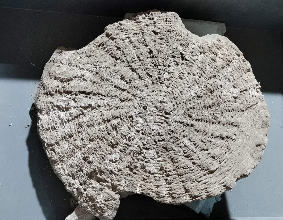 Tissage du couvercle