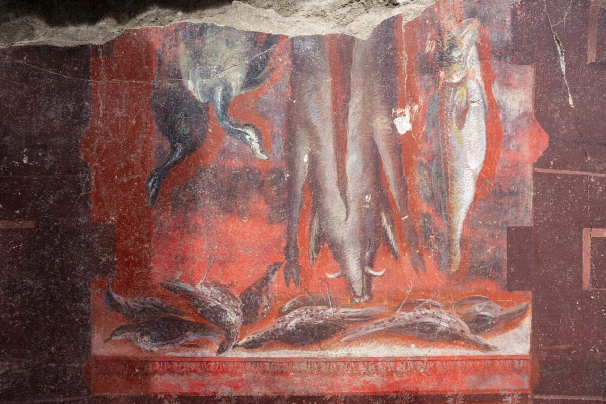 Nutrition, culture et élevage dans l'ancienne Pompéi : publication d'une étude 