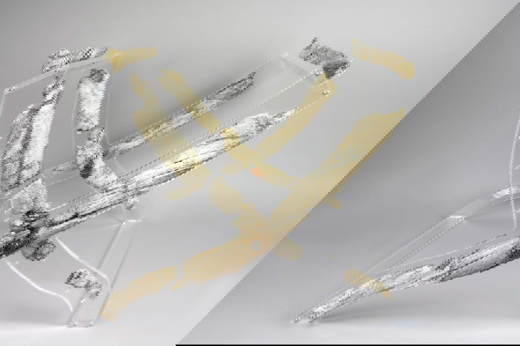 Sgabello pieghevole (dopo il restauro), Bologna, Necropoli dei Giardini Margherita, tomba 173 nota come &ldquo;tomba dello Sgabello&rdquo; (Fine del VI sec.; Avorio; Bologna, Museo Civico Archeologico). Su concessione di Kriterion, Bologna