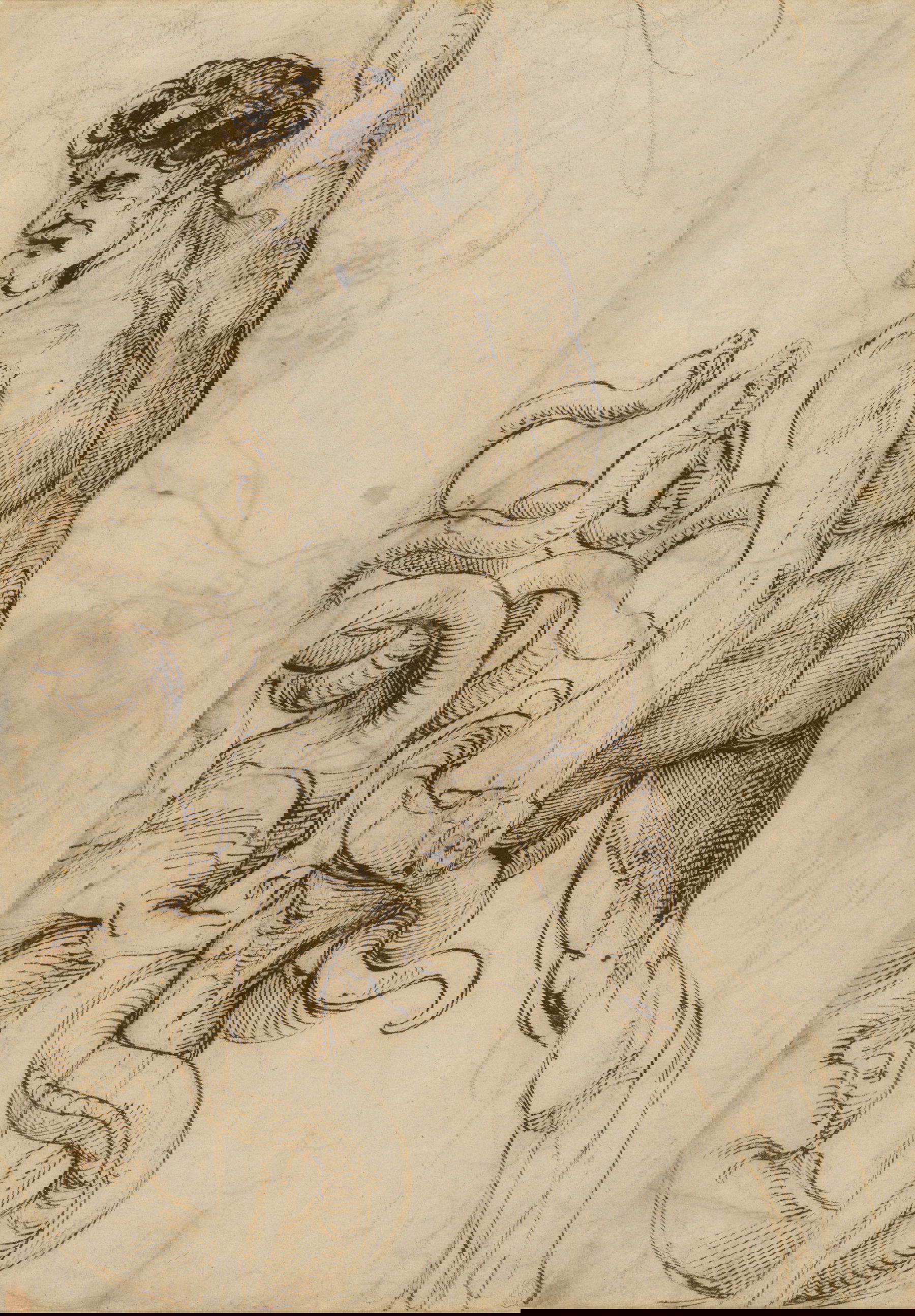 Raffael, Herkules und die Hydra (um 1508) &copy; Royal Collection Enterprises Limited 2025 | Royal Collection Trust