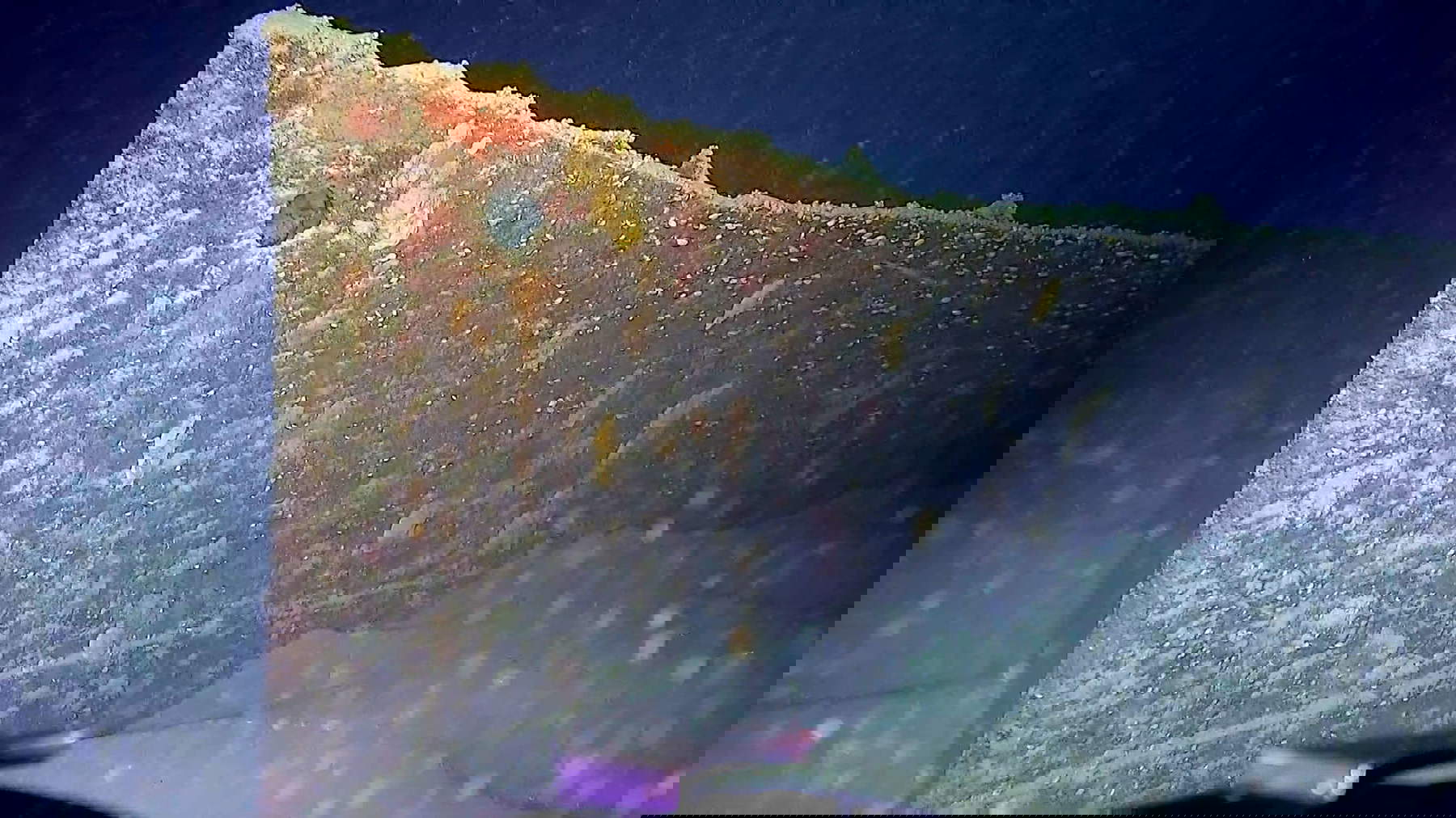 Nahaufnahme des Buges des Rumpfes des SD Friedrichshafen II auf dem Meeresgrund des Bodensees. Foto LAD/Marcel Edel