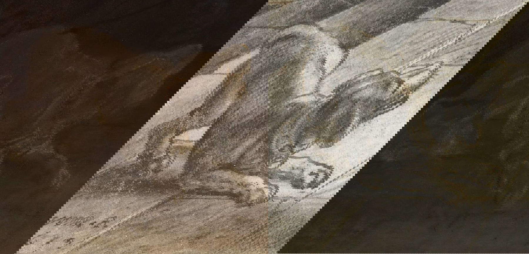 The Night Watch dog: discovered the artist who inspired Rembrandt
