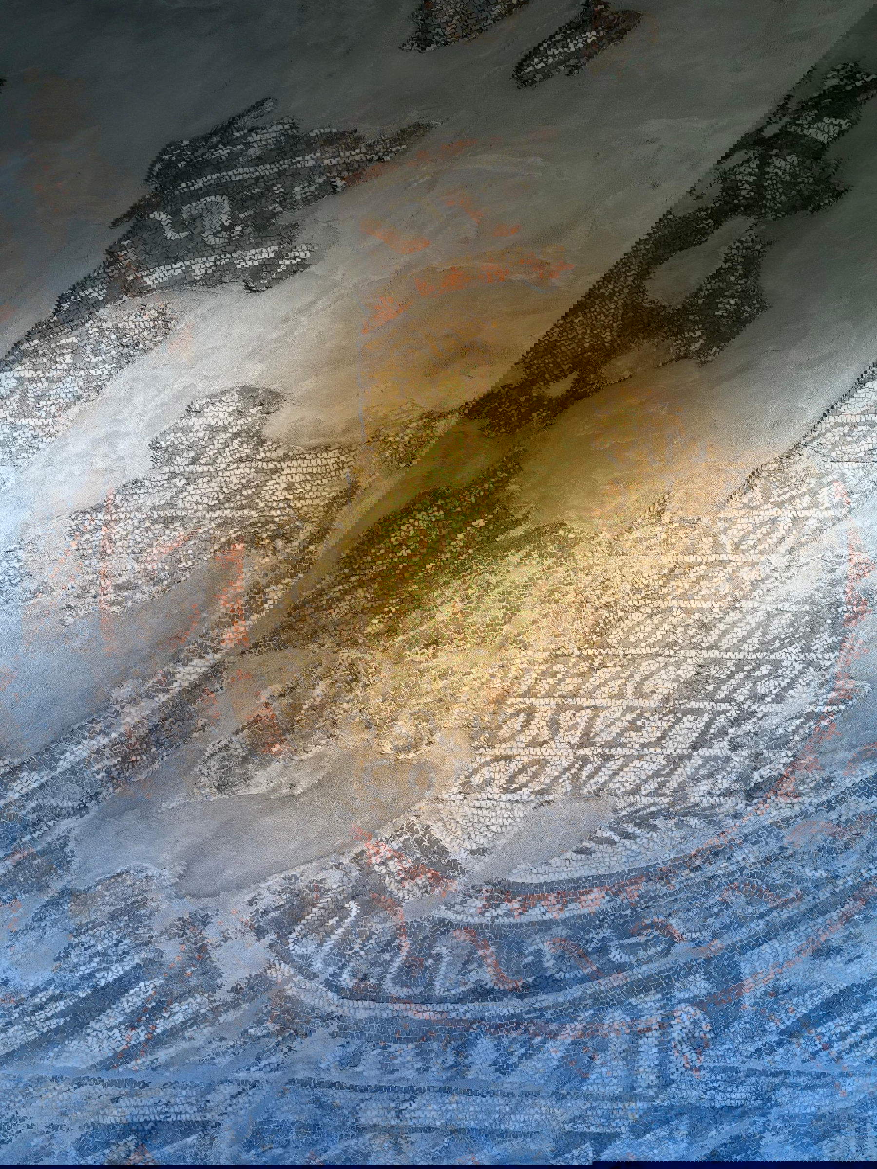 I reperti esposti nel nuovo Museo Archeologico Nazionale di Luni