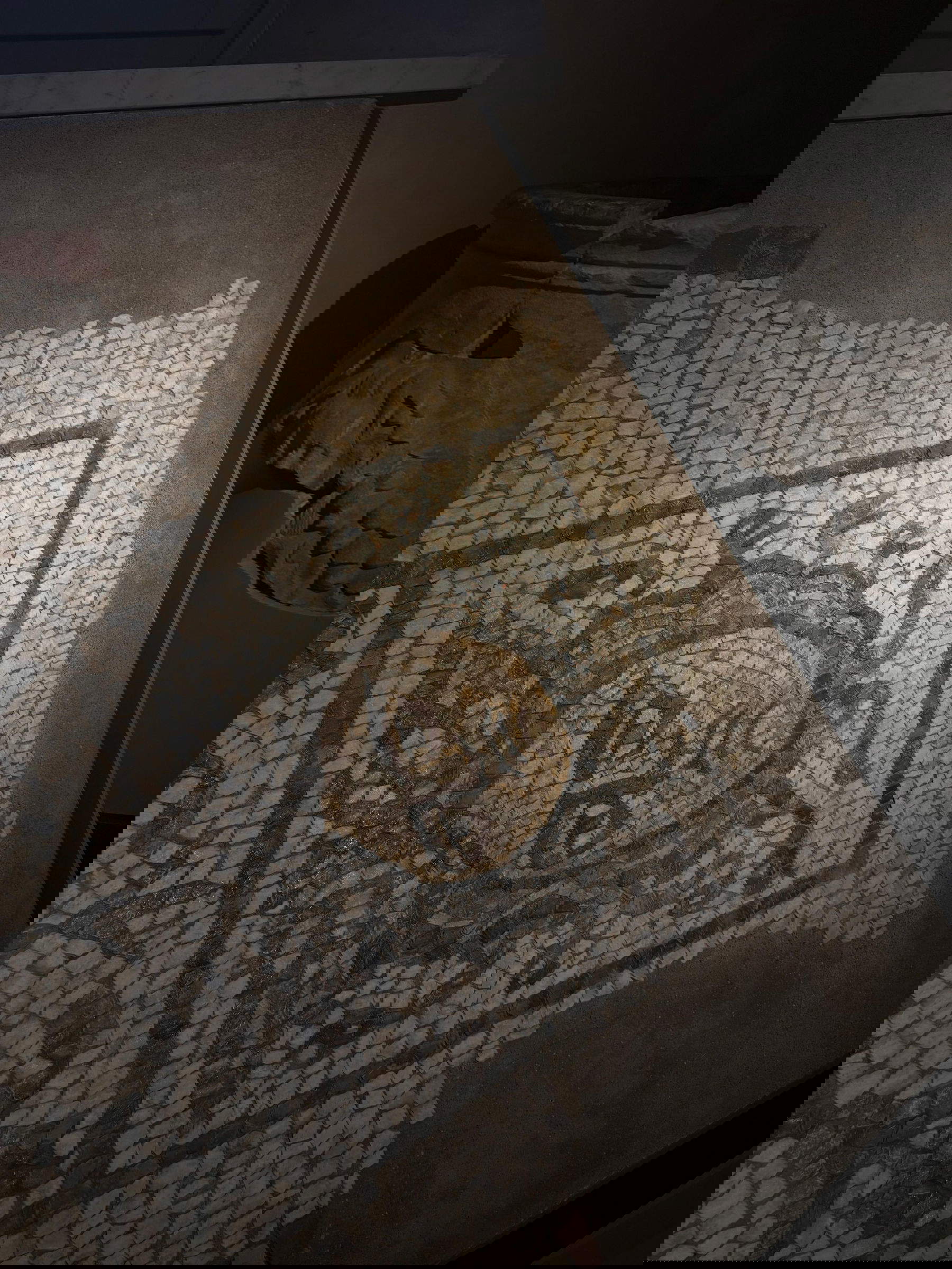 I reperti esposti nel nuovo Museo Archeologico Nazionale di Luni