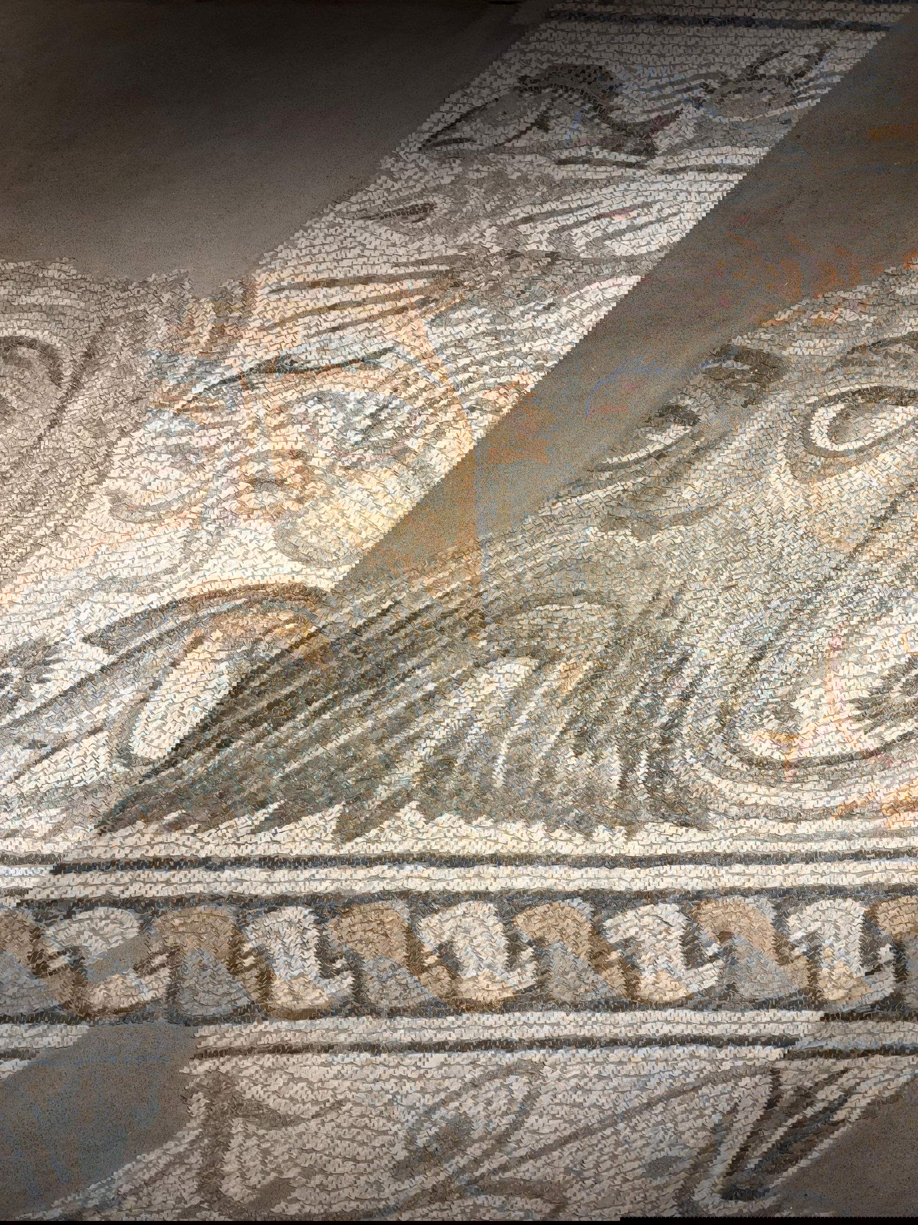 I reperti esposti nel nuovo Museo Archeologico Nazionale di Luni