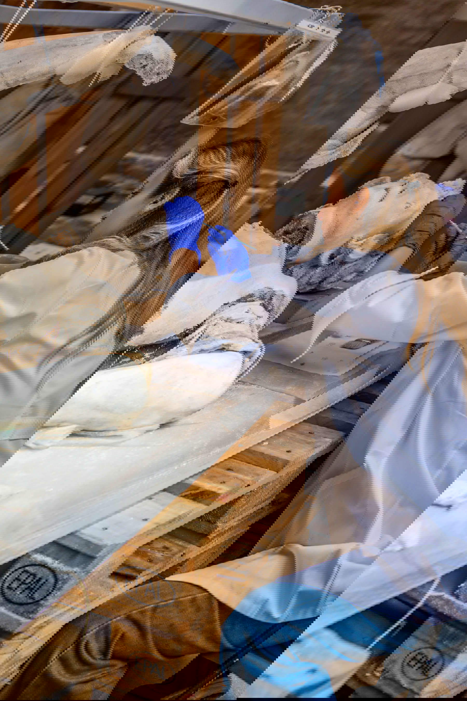 La restauration des six sculptures du Teatro Farnese, Parme, Complesso monumentale della Pilotta &copy; Cristina Urecheanu