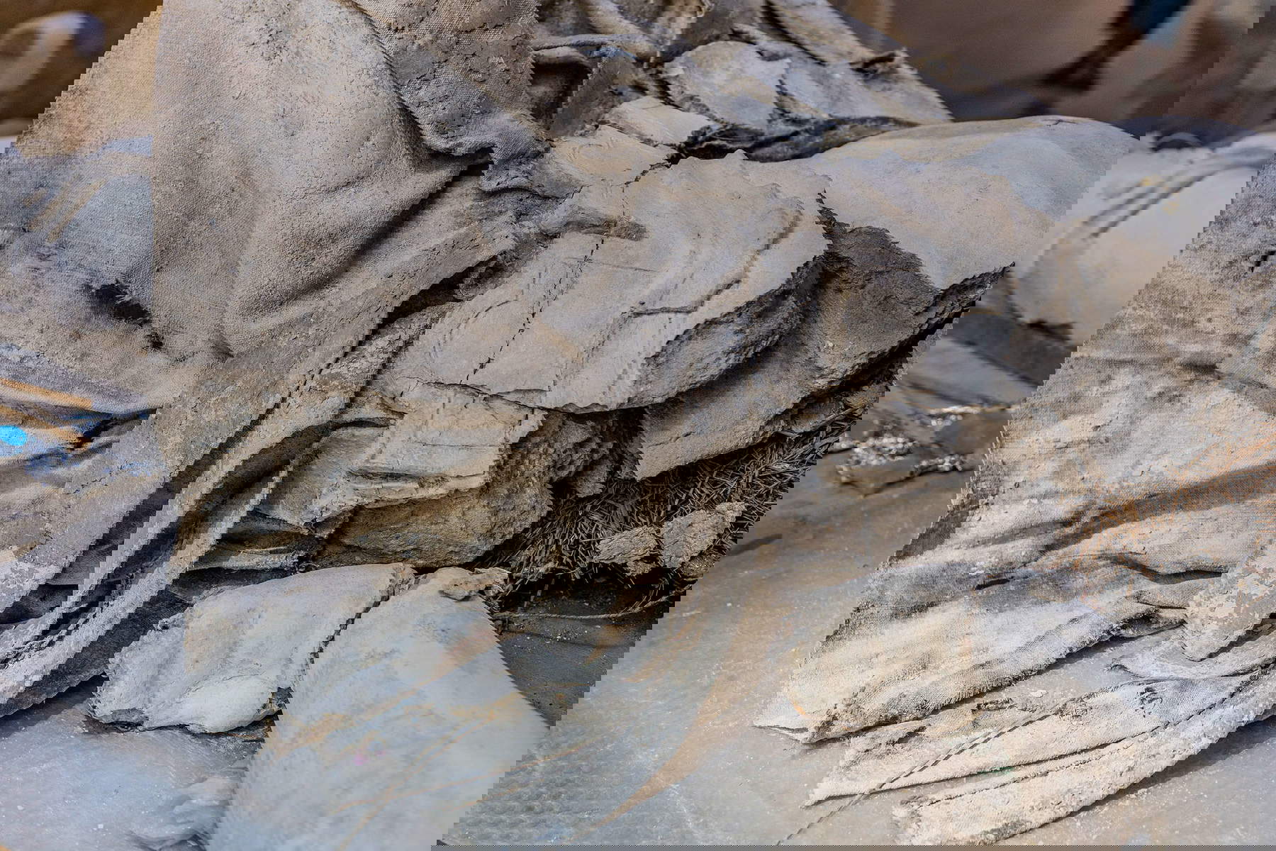 La restauration des six sculptures du Teatro Farnese, Parme, Complesso monumentale della Pilotta &copy; Cristina Urecheanu