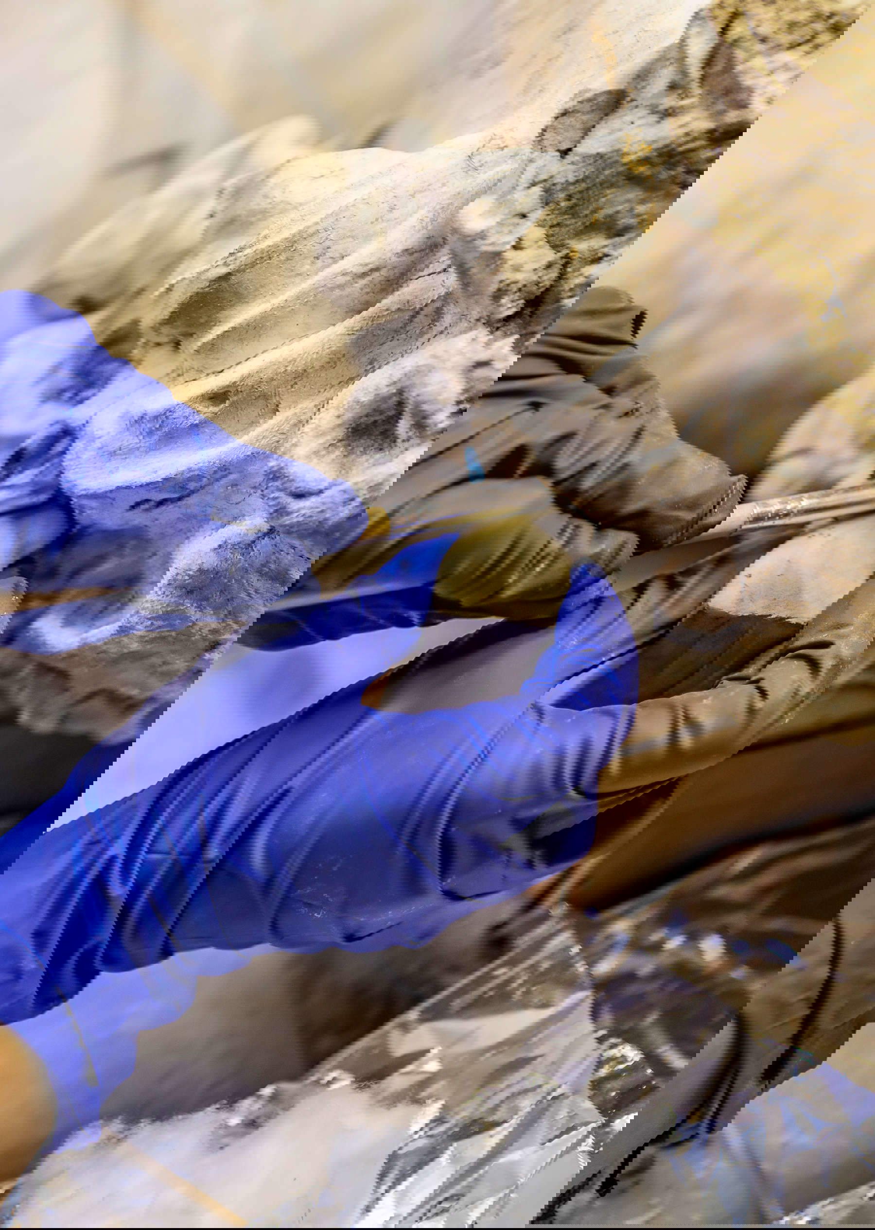 La restauration des six sculptures du Teatro Farnese, Parme, Complesso monumentale della Pilotta &copy; Cristina Urecheanu